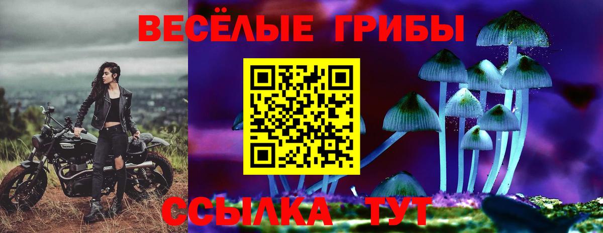 Псилоцибиновые грибы Psilocybine cubensis Людиново